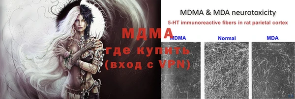 соль ск Тайга